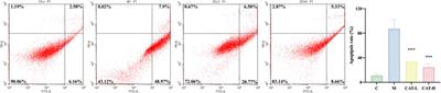 Catalpol reduced LPS induced BV2 immunoreactivity through NF-κB/NLRP3 pathways: an in Vitro and in silico study